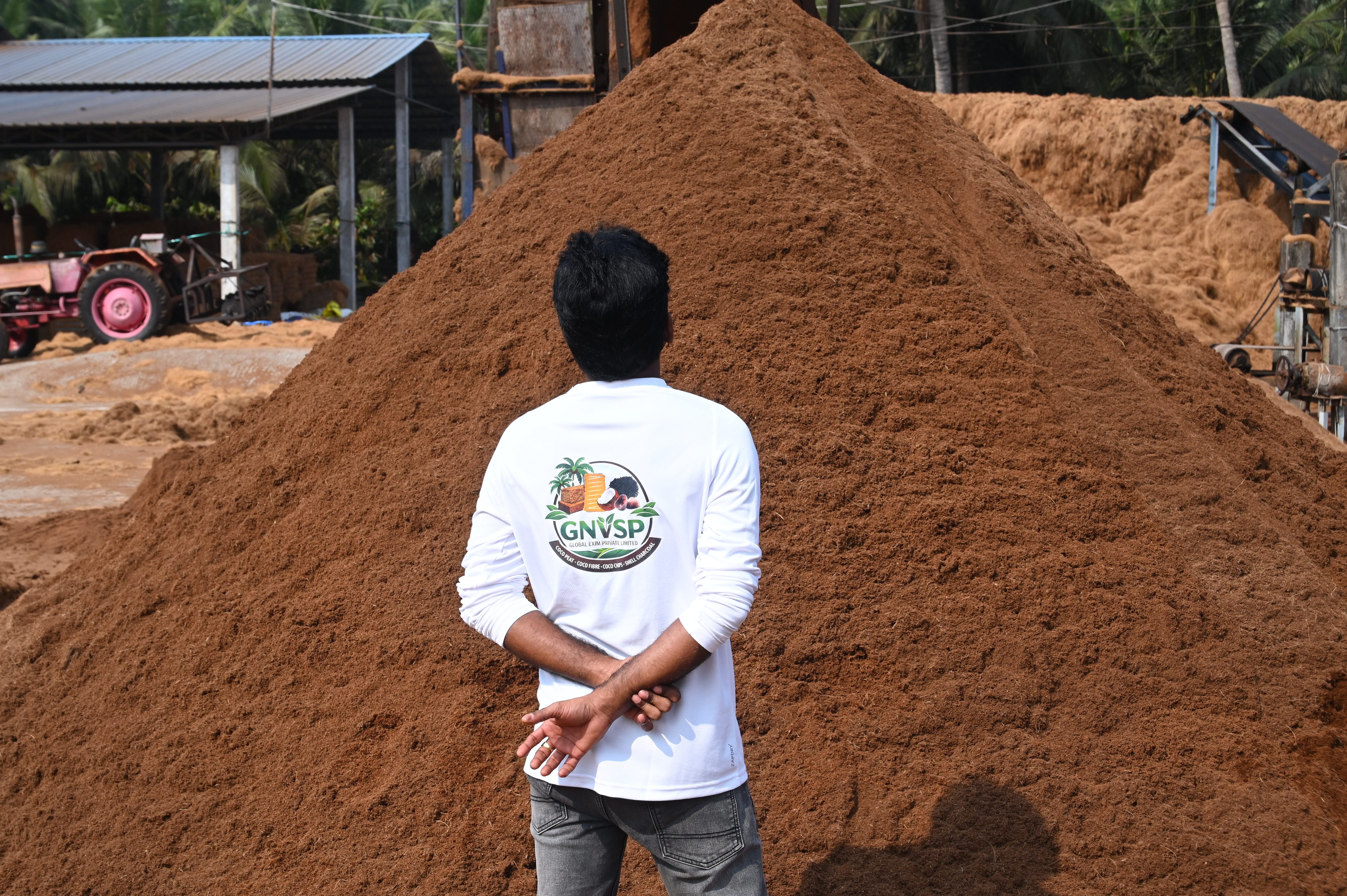 Organic Coconut Plantation